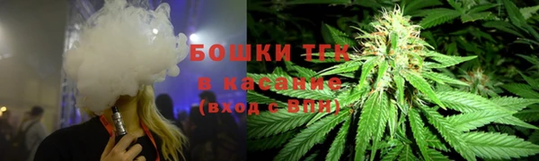 spice Алзамай