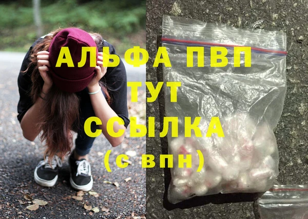 молекула духа Алексин