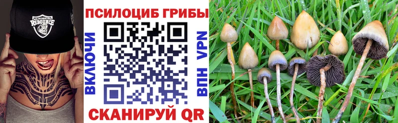 omg рабочий сайт  Заволжье  Галлюциногенные грибы GOLDEN TEACHER 