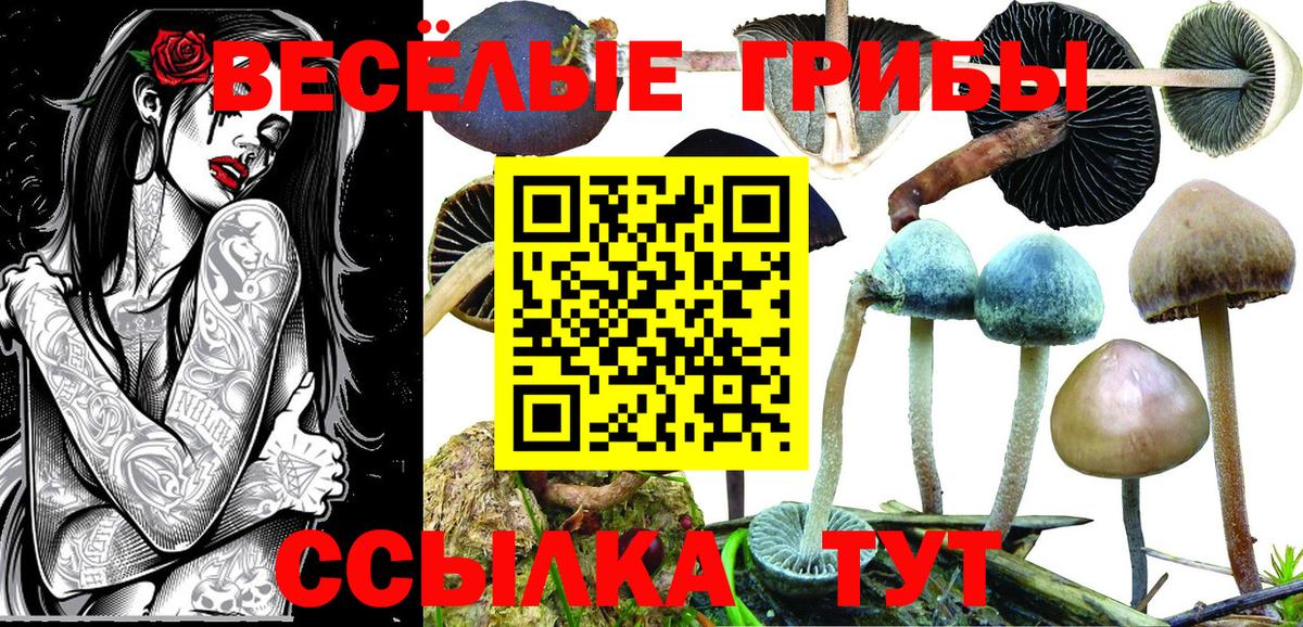 Псилоцибиновые грибы Magic Shrooms  Вход с VPN  Заволжье  где купить   Псилоцибиновые грибы мухоморы 